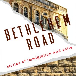 Immigration Fiction eBook She Writes Press Kindle-0